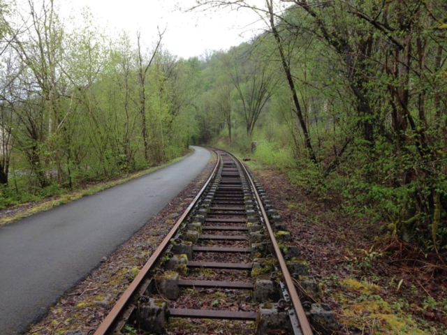 The Rail bike track.