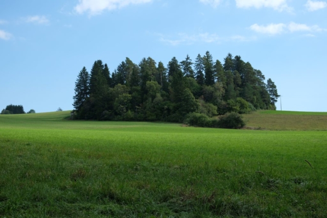 Wutachachlucht Hiking trails