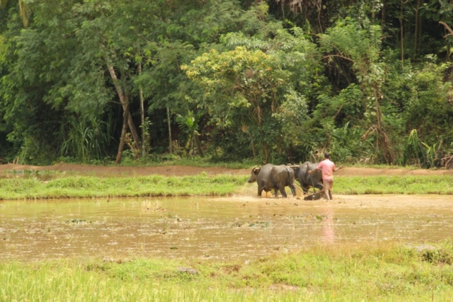 Ottapalam, Kerala, India