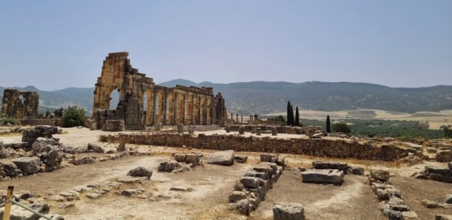 Conservation du site Archéologique de volubilis, Meknes