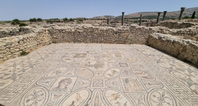 Conservation du site Archéologique de volubilis, Meknes