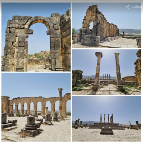 Conservation du site Archéologique de volubilis, Meknes