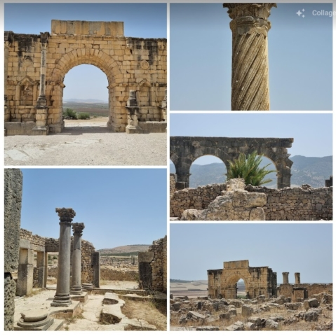 Conservation du site Archéologique de volubilis, Meknes