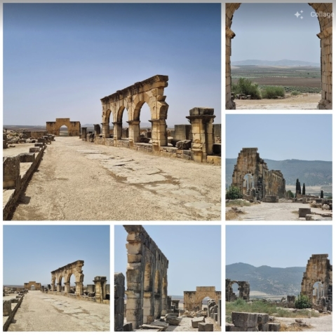 Conservation du site Archéologique de volubilis, Meknes