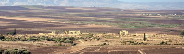 Conservation du site Archéologique de volubilis, Meknes